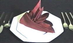 Bird of Paradise Napkin